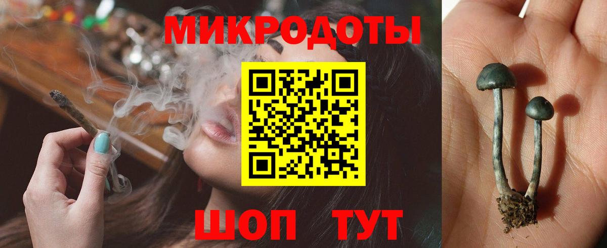 даркнет сайт  Псилоцибиновые грибы Psilocybe  Вход с VPN  Лесозаводск 
